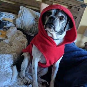 Meet your Posher, Lori